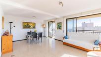 Living room of Flat for sale in Elche / Elx  with Terrace, Swimming Pool and Community pool