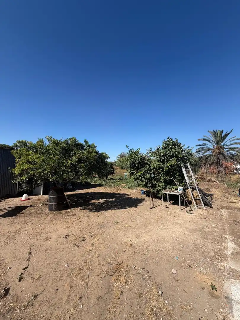 Finca rústica en venta en Utrera