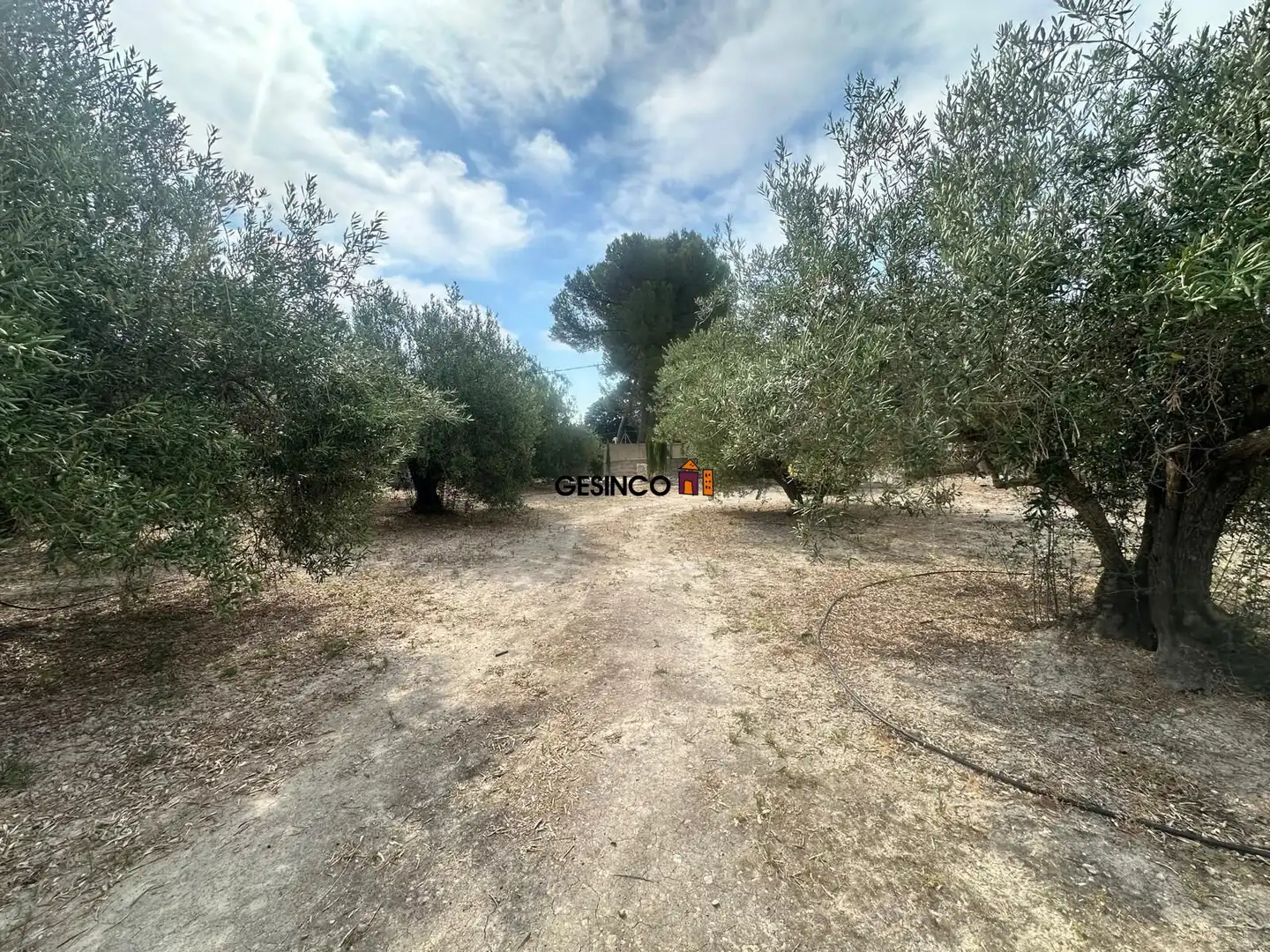 Terreny residencial en venda a Xàtiva, imagen 7