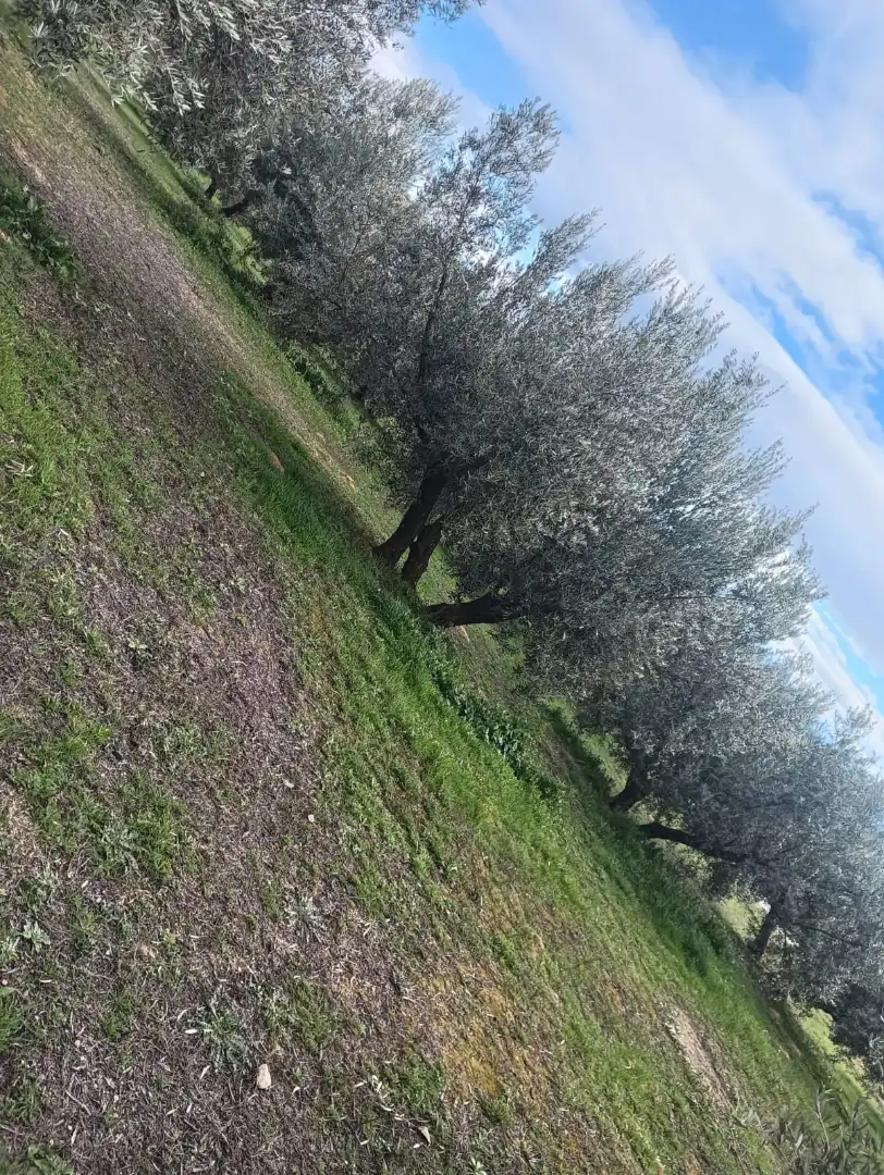 Finca rústica en venta en Cuevas del Campo con Jardín privado, Parquet y Terraza
