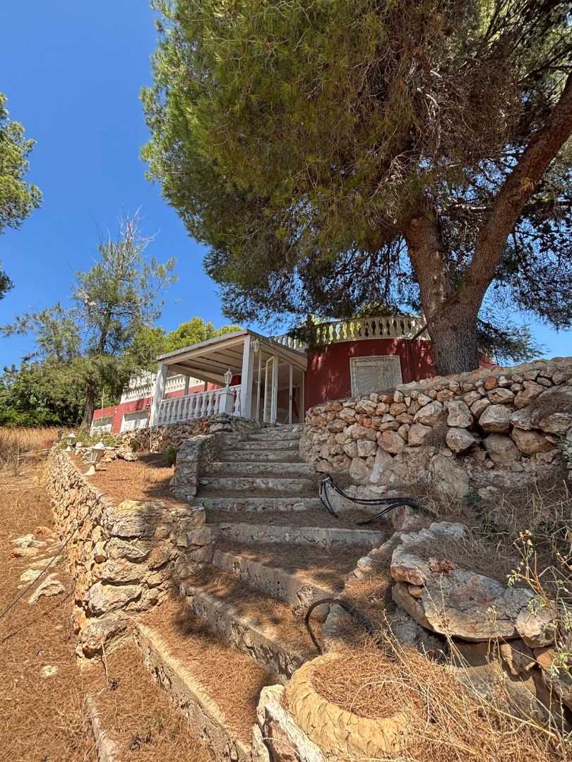 Exterior view of House or chalet for sale in Alginet  with Private garden, Terrace and Storage room