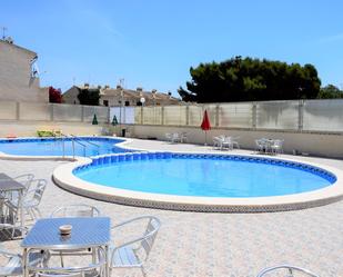 Swimming pool of Premises for sale in Guardamar del Segura