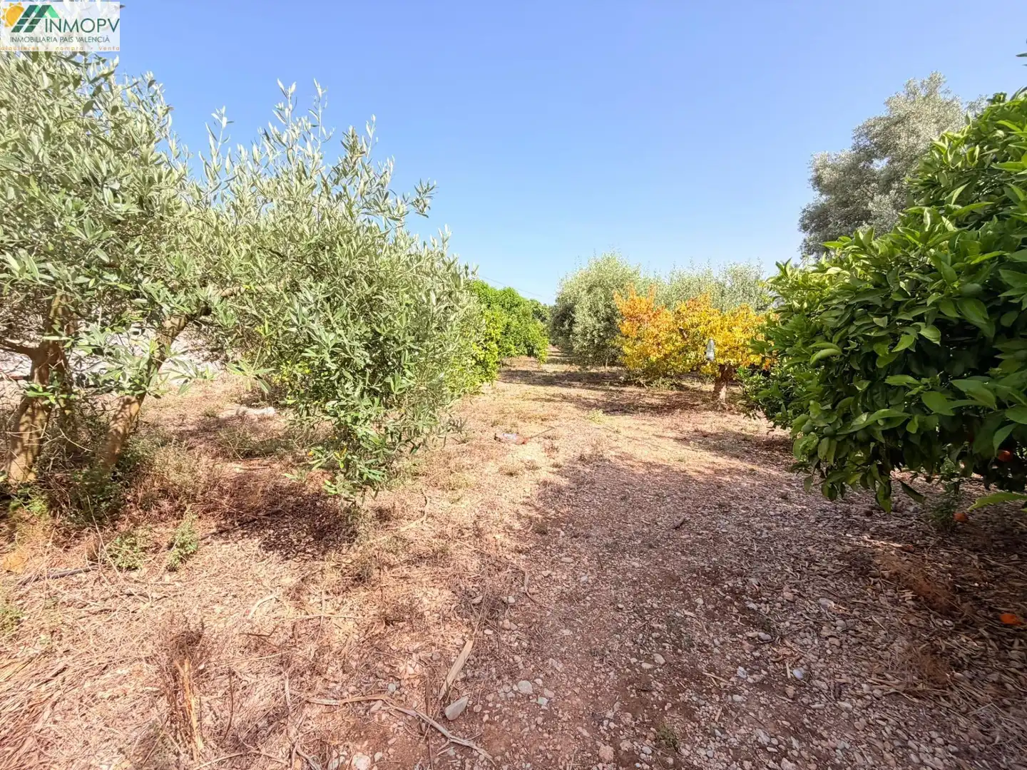 Houses for sale in Vinaròs  with Private garden and Terrace