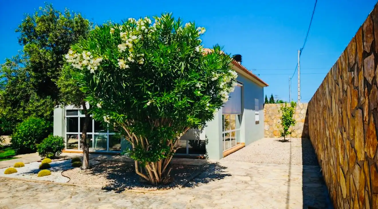 Chalet con terraza en venta en Oliva Nova, imagen 9