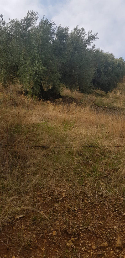 Residential for sale in Villacarrillo