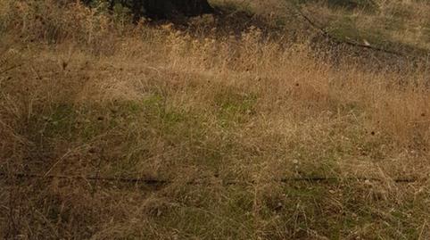 Photo 3 of Residential for sale in Villacarrillo, Jaén