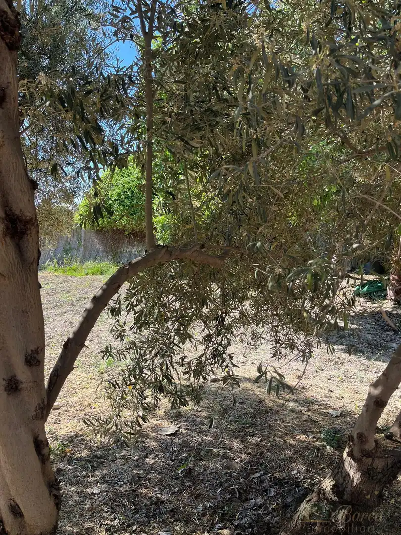 Jardín de Finca rústica en venta en Rute