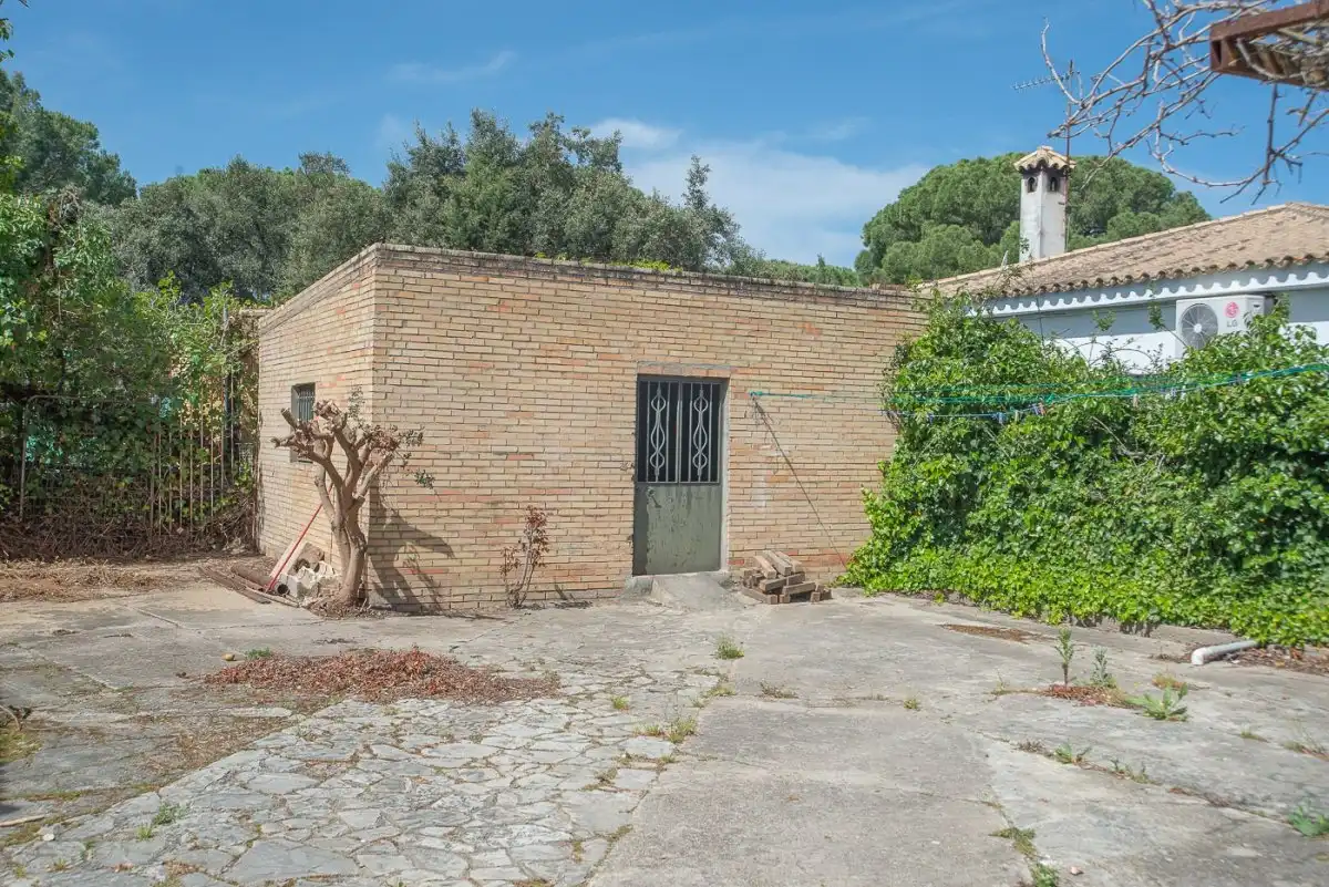 Exterior view of Houses for sale in Jerez de la Frontera  with Private garden, Swimming Pool and Balcony