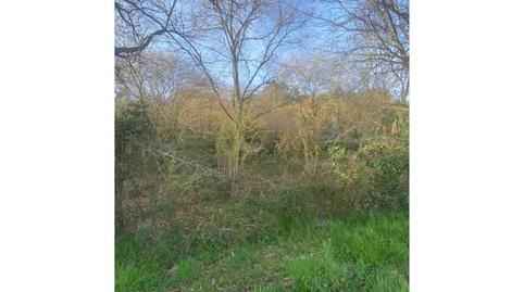 Photo 4 of Residential for sale in Avenida Luis de la Concha, Renedo, Piélagos