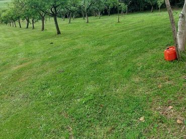 Terrenos y solares en venta en Entrambasaguas