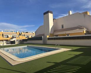 Swimming pool of Apartment for sale in Elche / Elx  with Heating and Swimming Pool