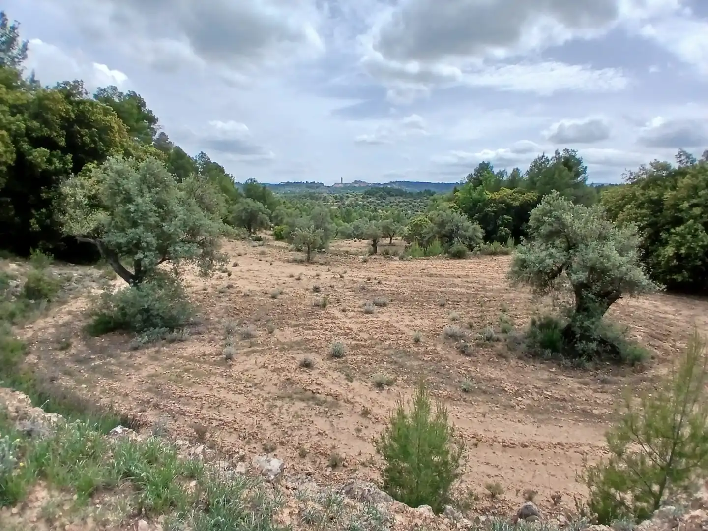Terreni e lotti in vendita a Fórnoles, imagen 6