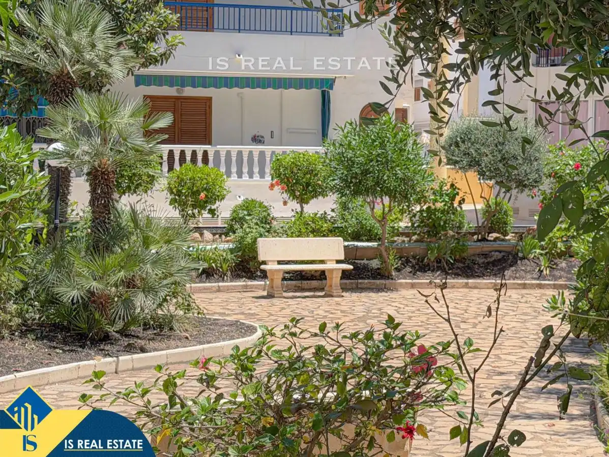 Vista exterior de Estudio en venta en Torrevieja con Aire acondicionado, Calefacción y Terraza