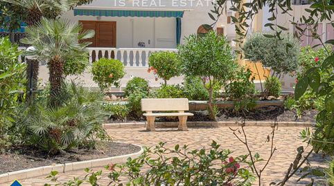 Foto 2 de Estudio en venta en Los Europeos, Torrevieja