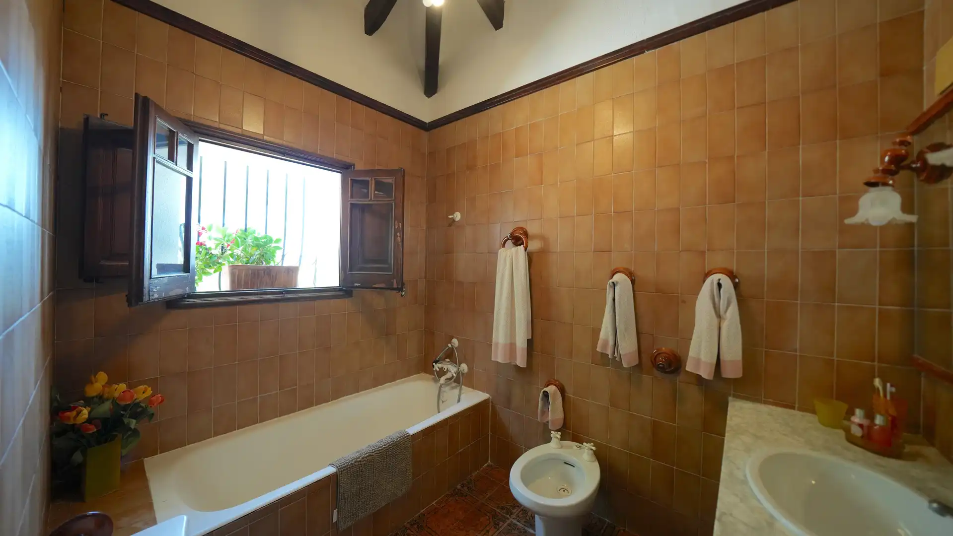 Baño de Finca rústica en venta en Centro