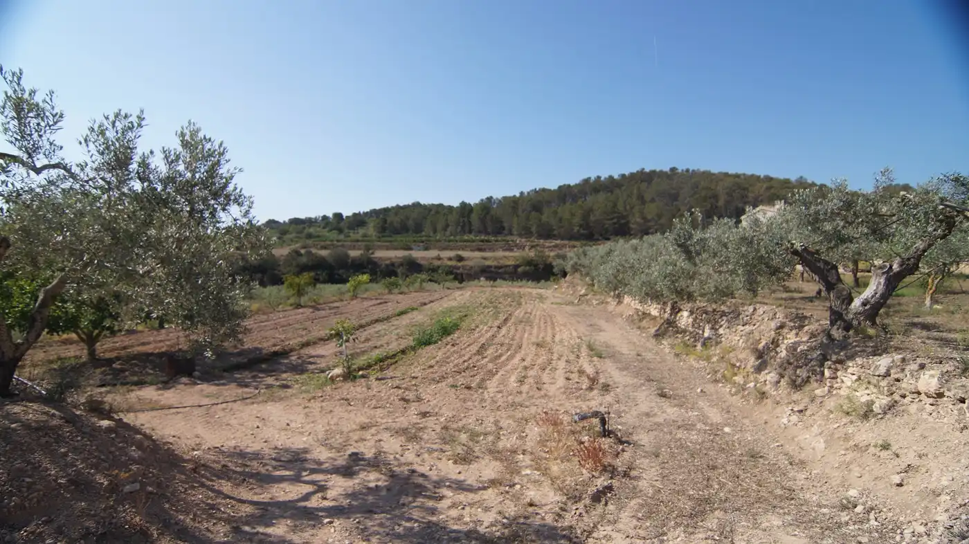 Finca rústica en venda a Miravet