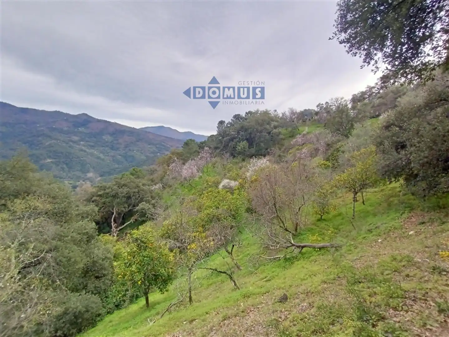 Casa rústica en venda a Algatocín, imagen 7