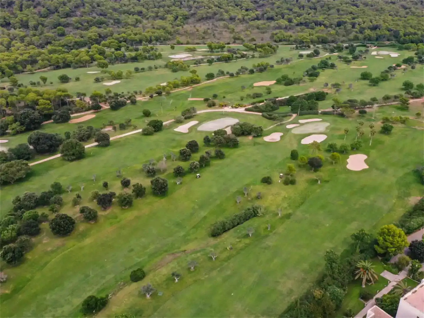 Vista exterior de Terreno en venta en Son Servera
