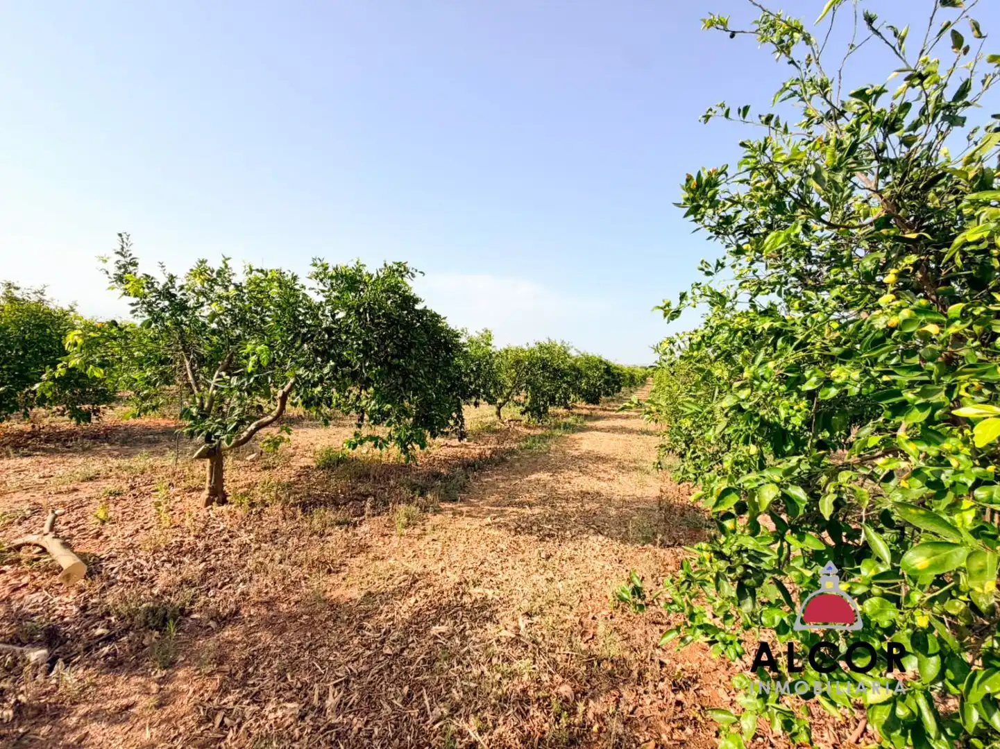 Terrenos y solares en venta en Pueblo, imagen 10