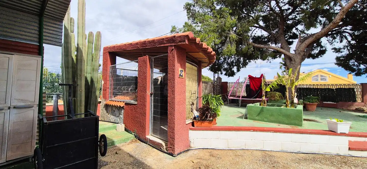 Jardí de Casa o xalet en venda en Elche / Elx amb Aire condicionat, Jardí privat i Traster