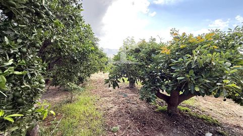 Photo 5 of Land for sale in Ventillas, Los Tablones - La Garnatilla, Motril