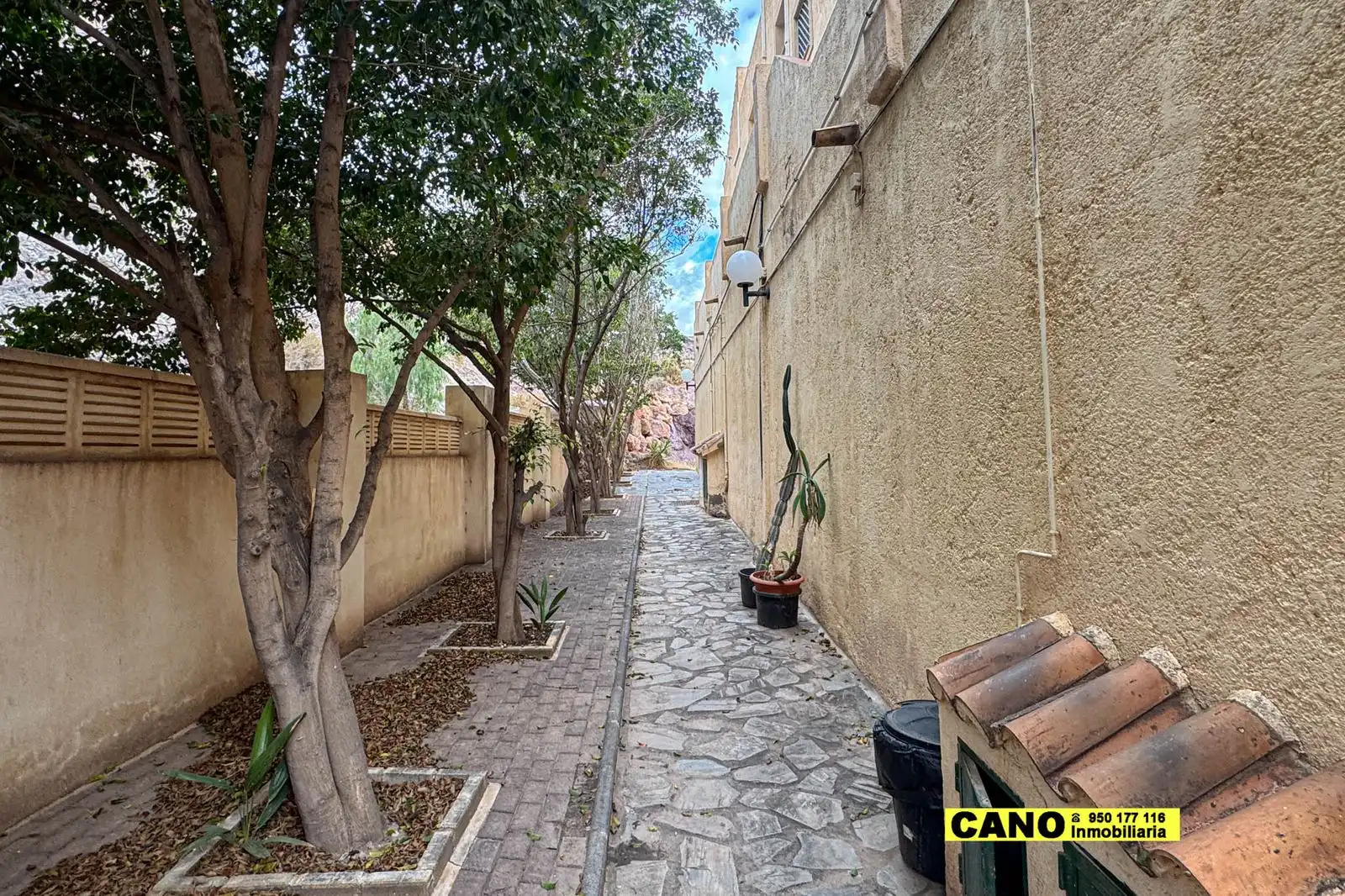 Vista exterior de Casa o chalet en venta en Vícar con Terraza