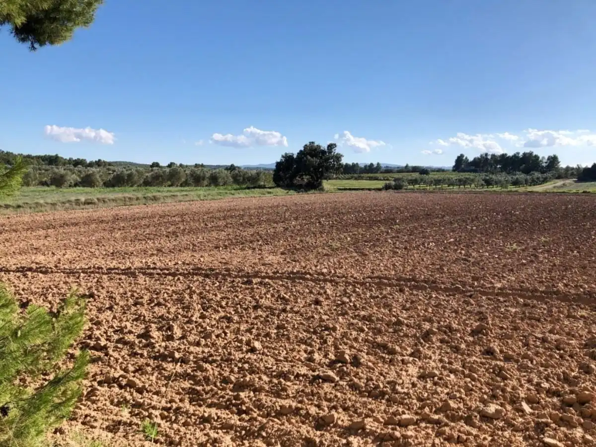 Casa rústica en venda a Torre del Compte, imagen 8
