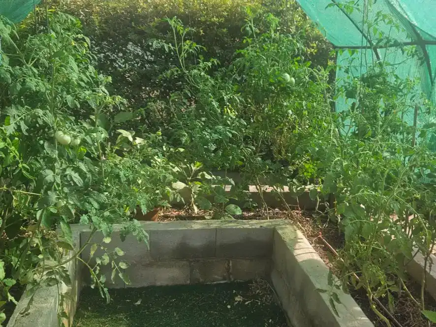 Jardín de Casa o chalet en venta en Almorox, Toledo