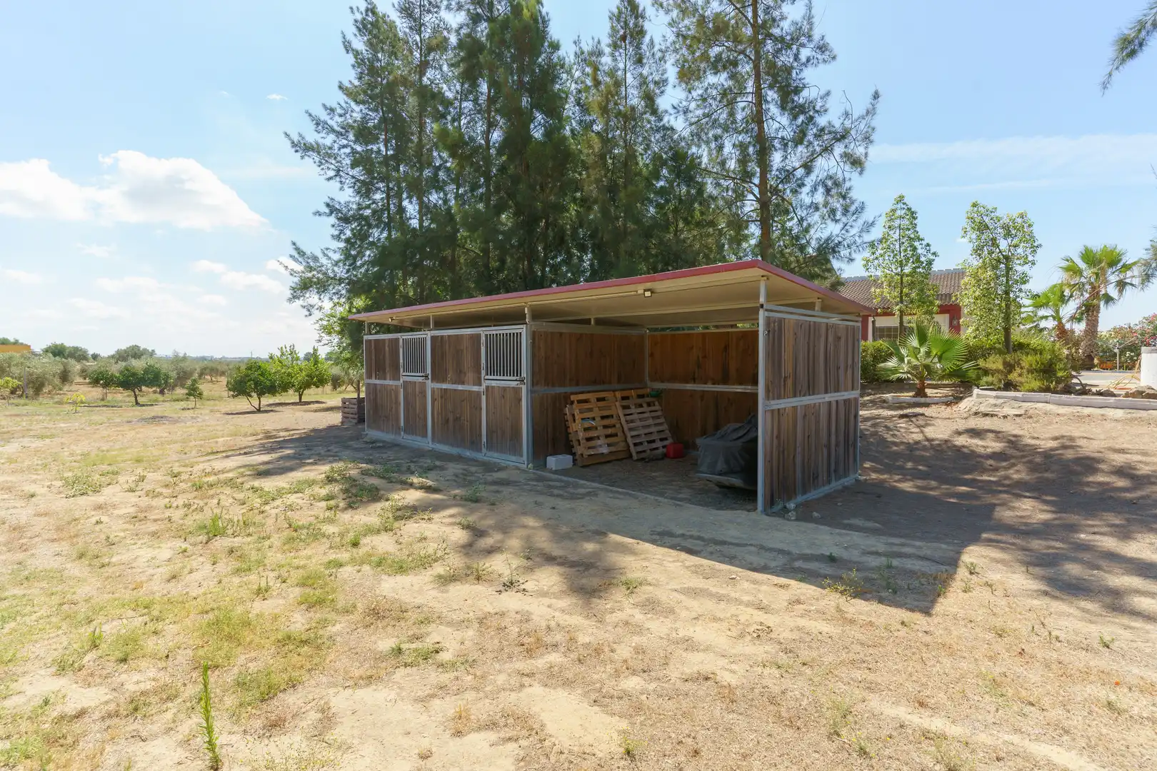 Vista exterior de Finca rústica en venta en La Palma del Condado con Jardín privado, Terraza y Piscina