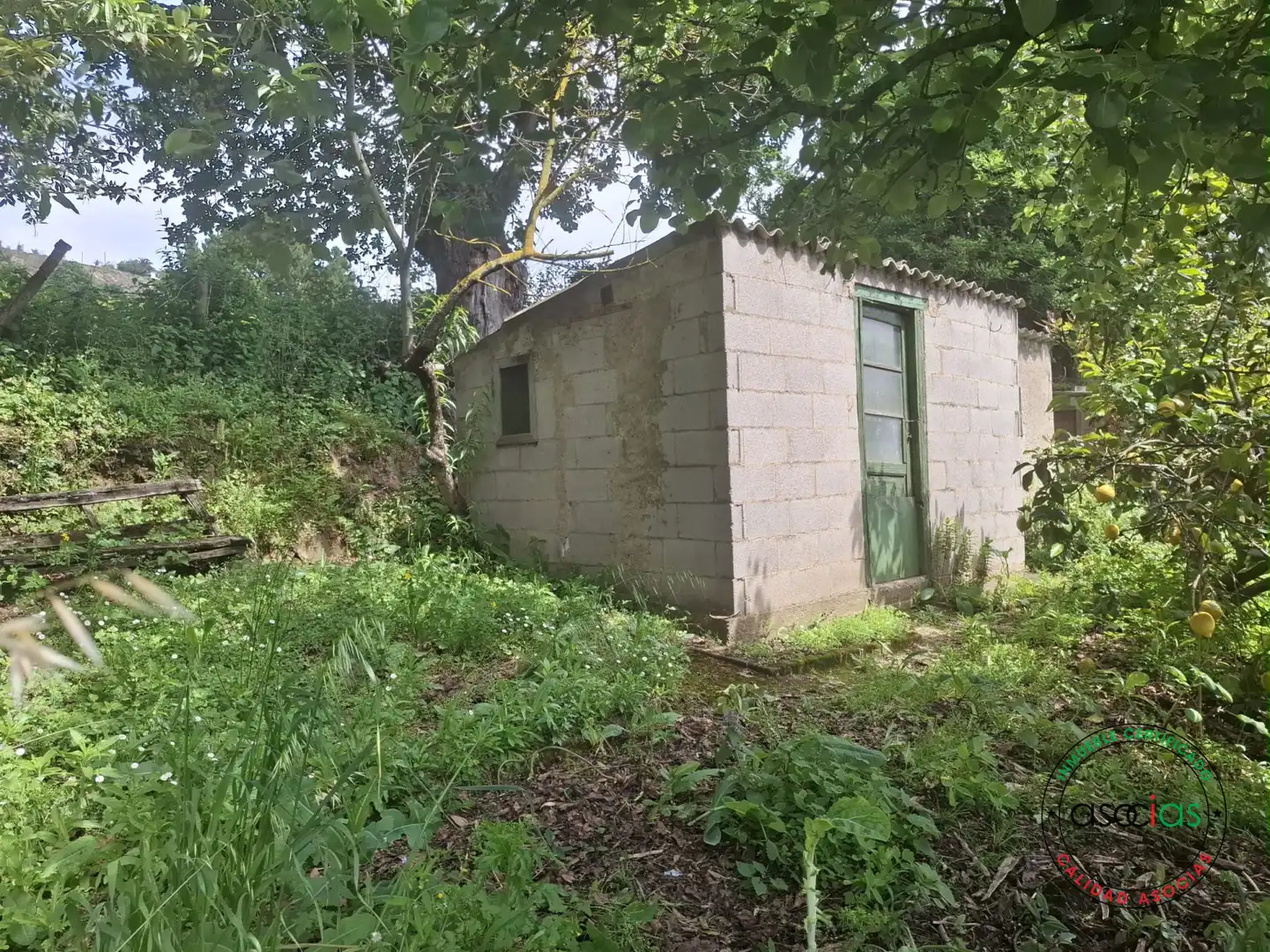 Vista exterior de Terreno en venta en Gijón 
