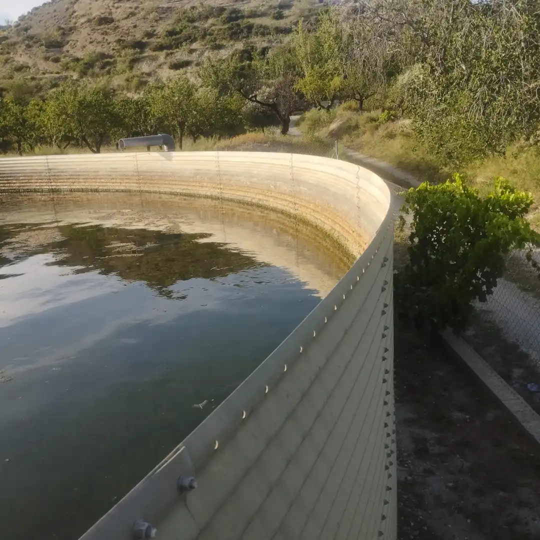 Swimming pool of Country homes for sale in Lúcar  with Private garden and Storage room