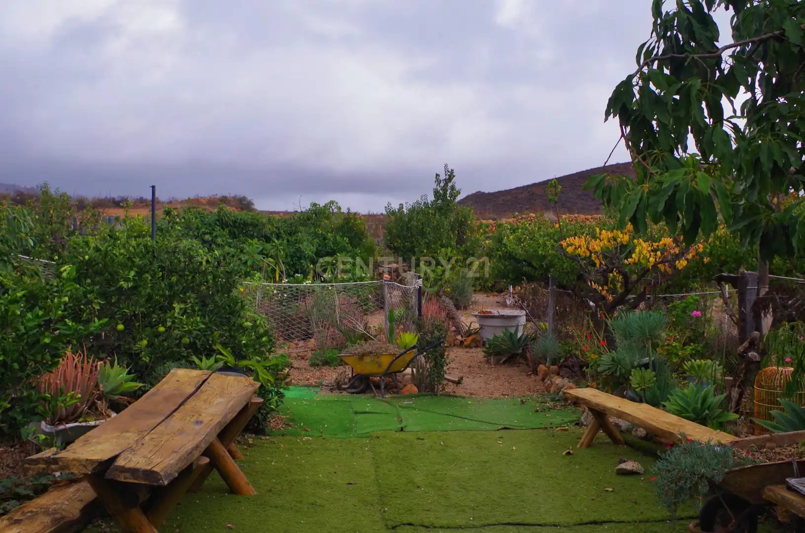 Garden of Houses for sale in San Miguel de Abona  with Swimming Pool