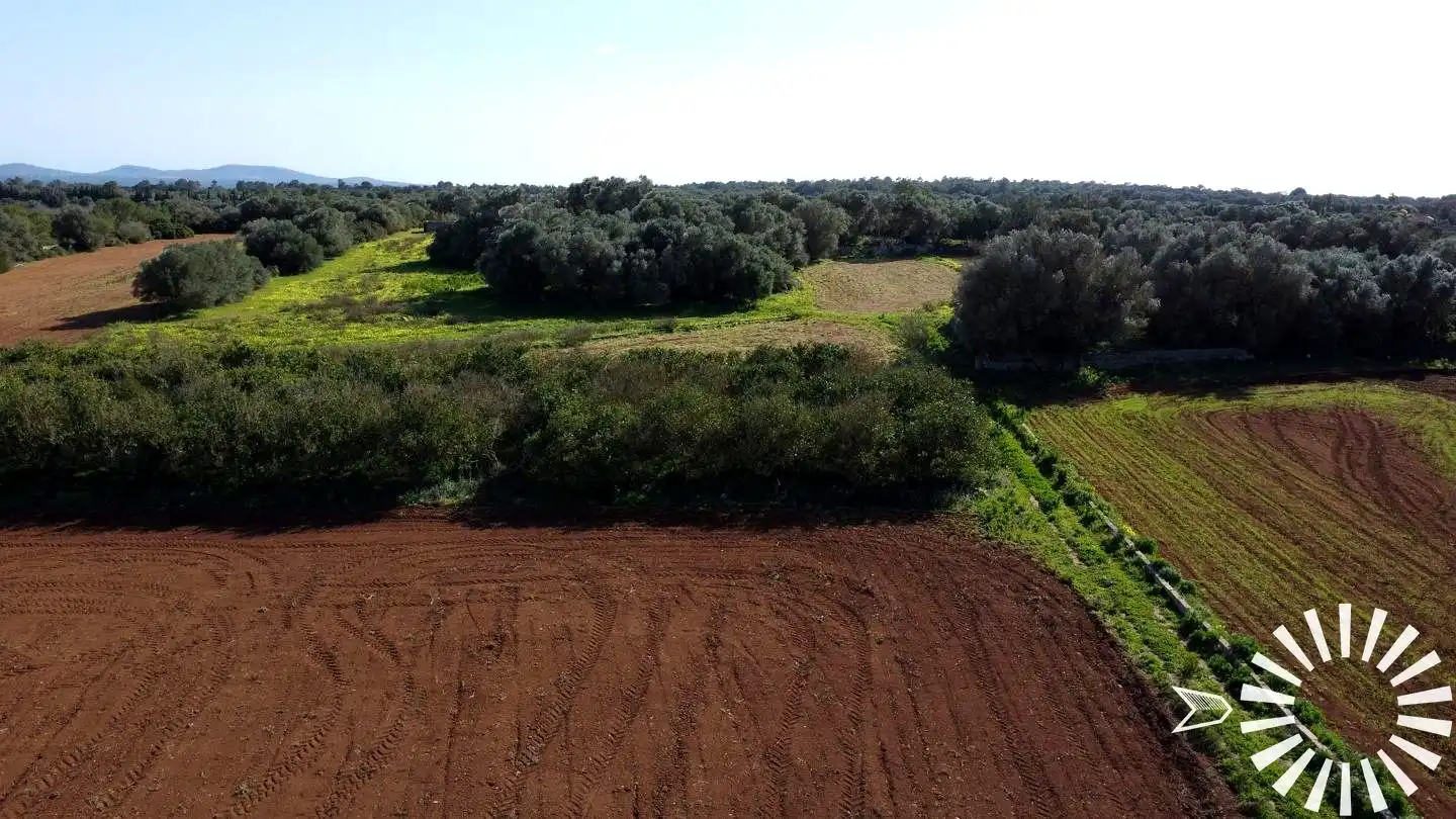 Terrain rustique à vendre à Cami de Son Pau, imagen 29
