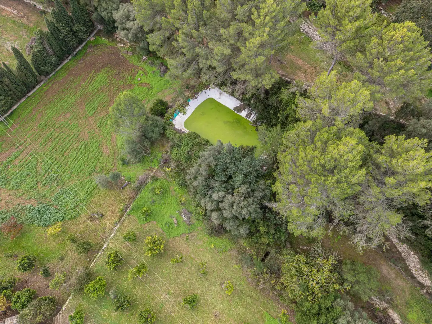 Country house with garden for sale in Costa de son Trias 1, imagen 42