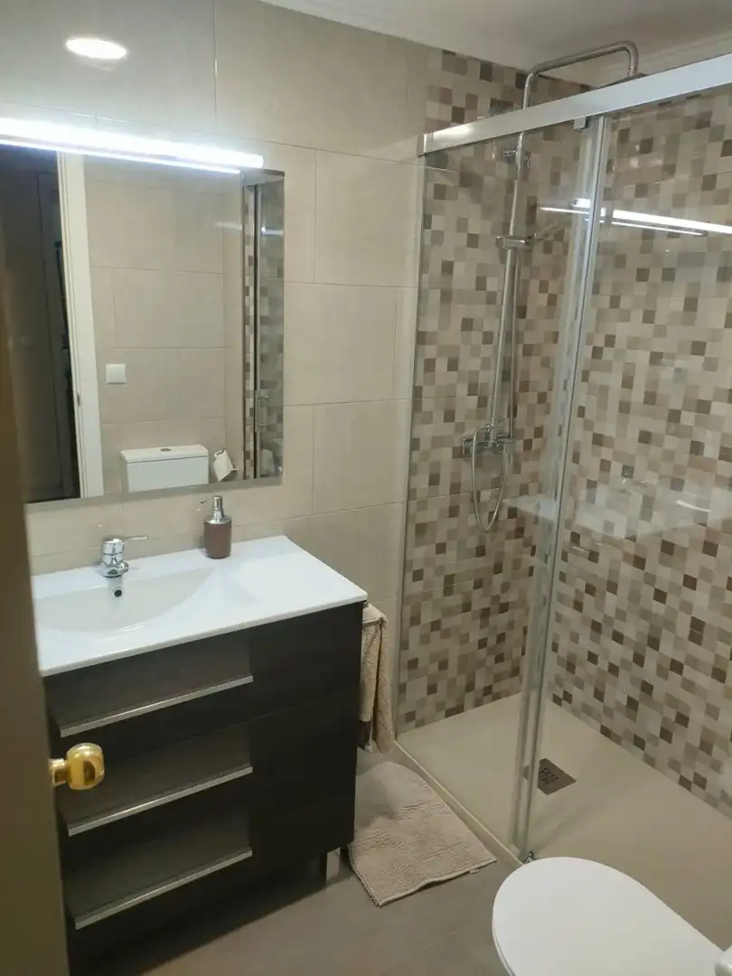 Bathroom of Flat for rent in Sevilla  with Air Conditioner and Furnished