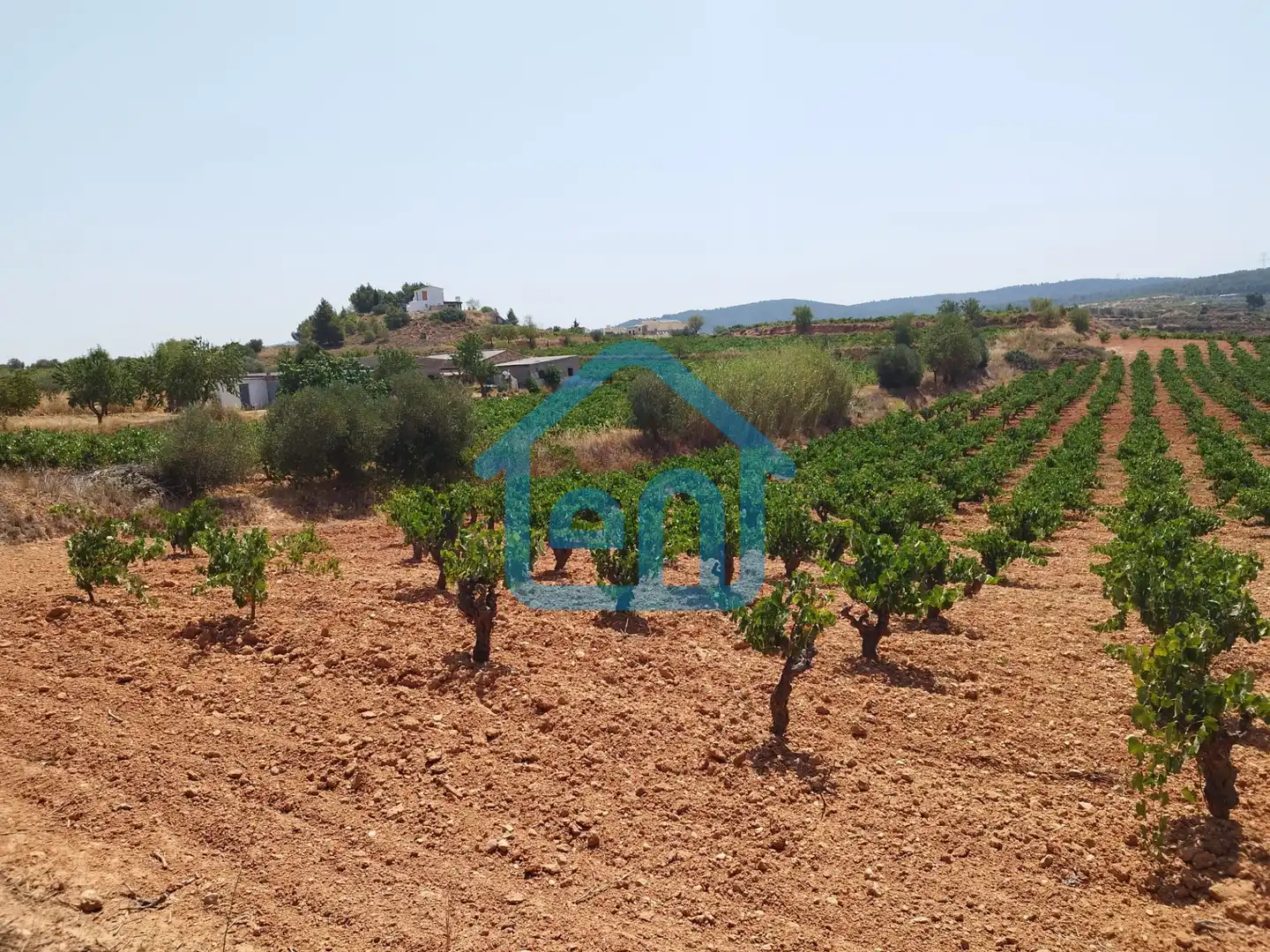 Terreno rustico in vendita a Requena, imagen 3