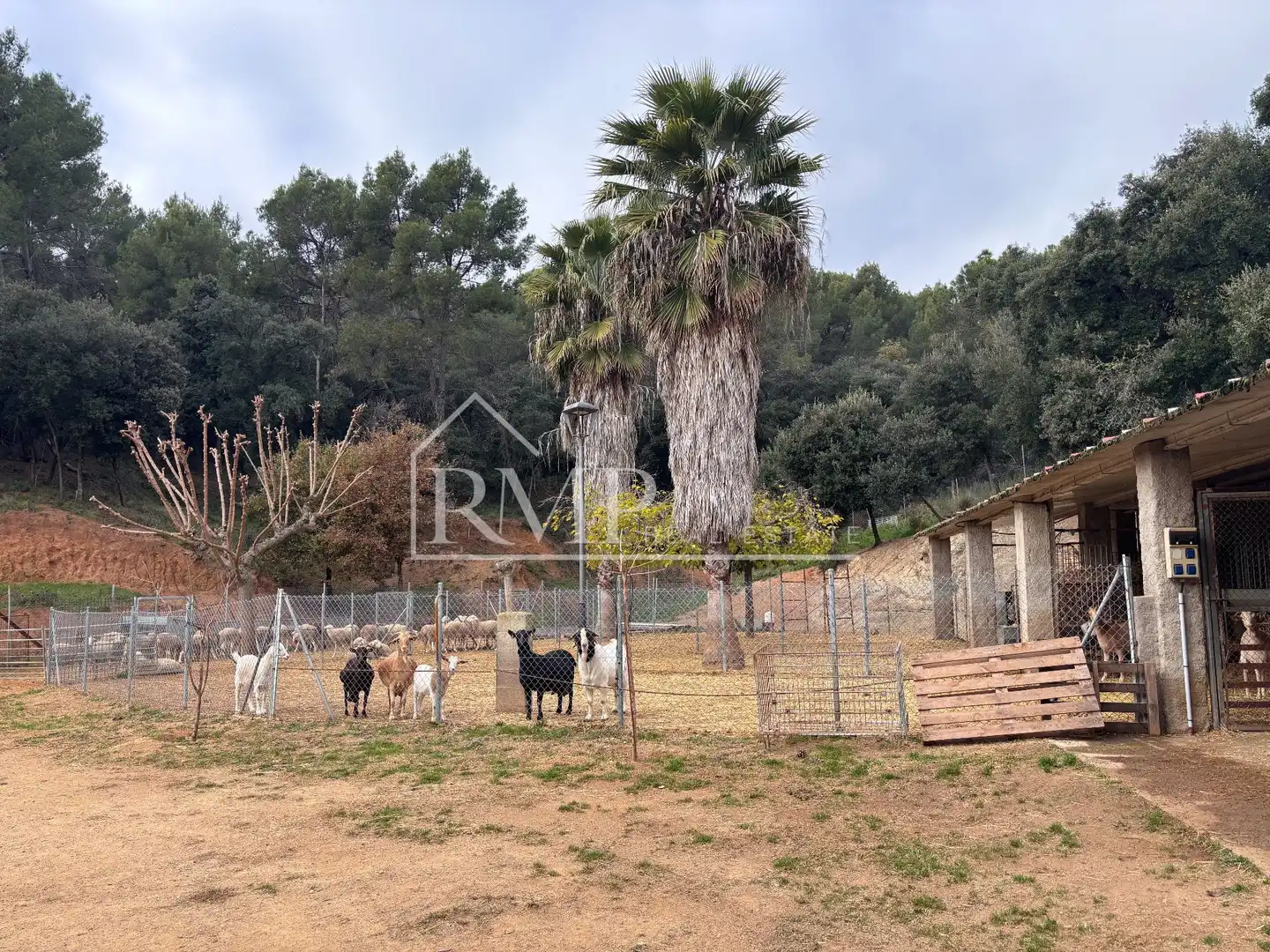 Rural land for sale in verder s/n, imagen 33