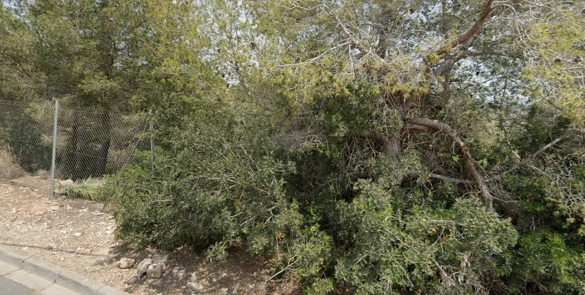 Terreno residencial en venta en Bellamar, imagen 4