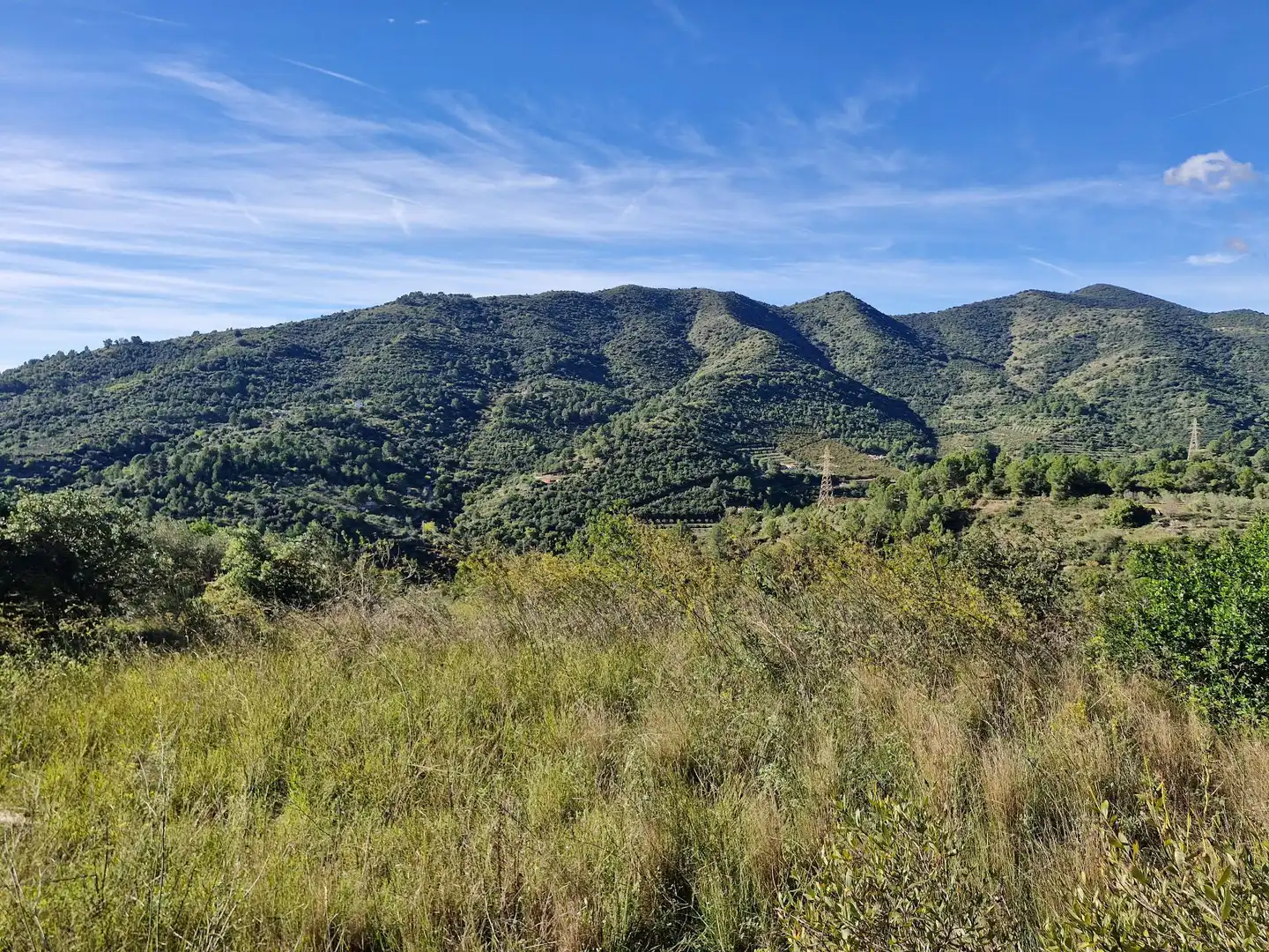 Terreno en venta en La Selva del Camp