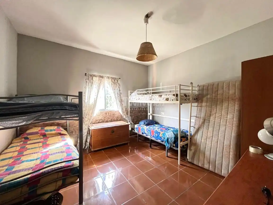 Terreno rústico en venta en Jerez norte - Montealto - Pozoalbero, imagen 18