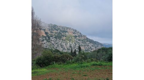 Foto 5 de Casa o chalet en venta en Casares pueblo, Casares