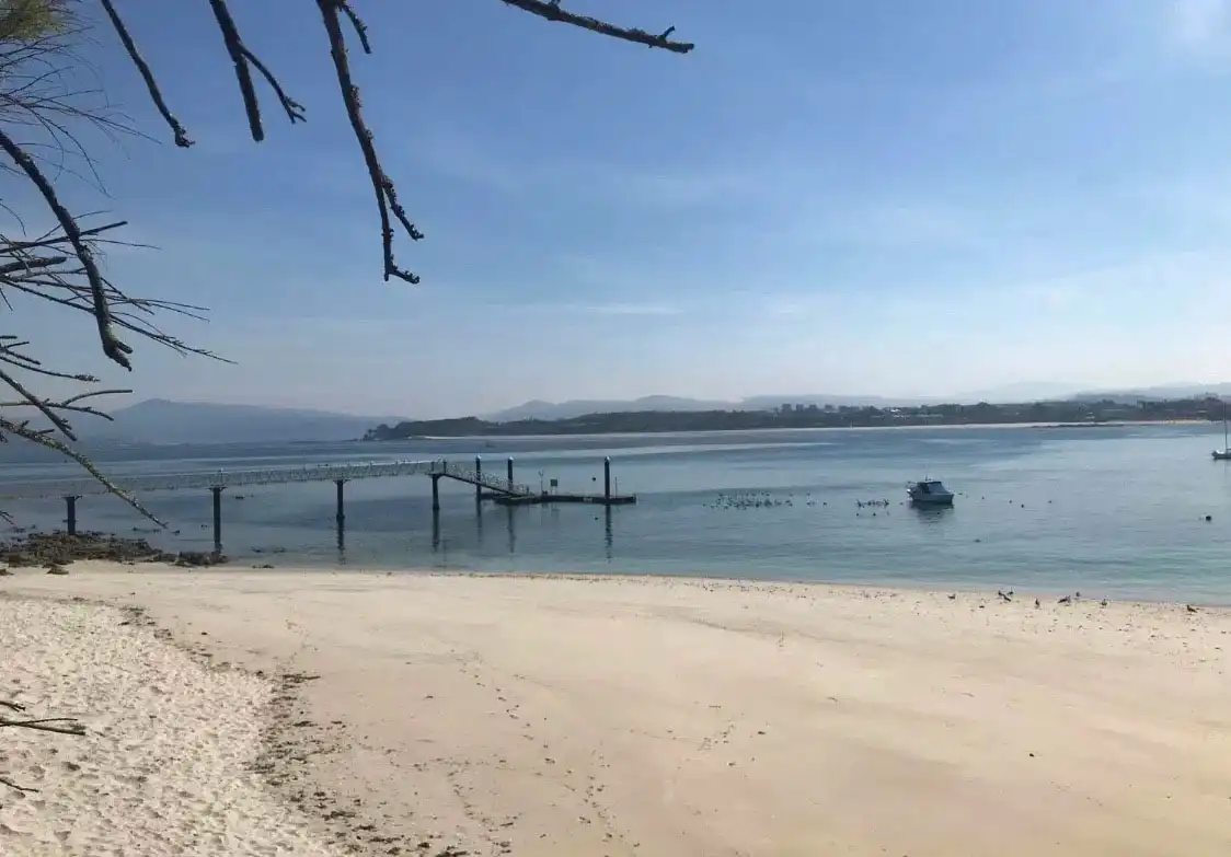 Vista exterior de Piso en venta en Vigo  con Calefacción, Jardín privado y Amueblado