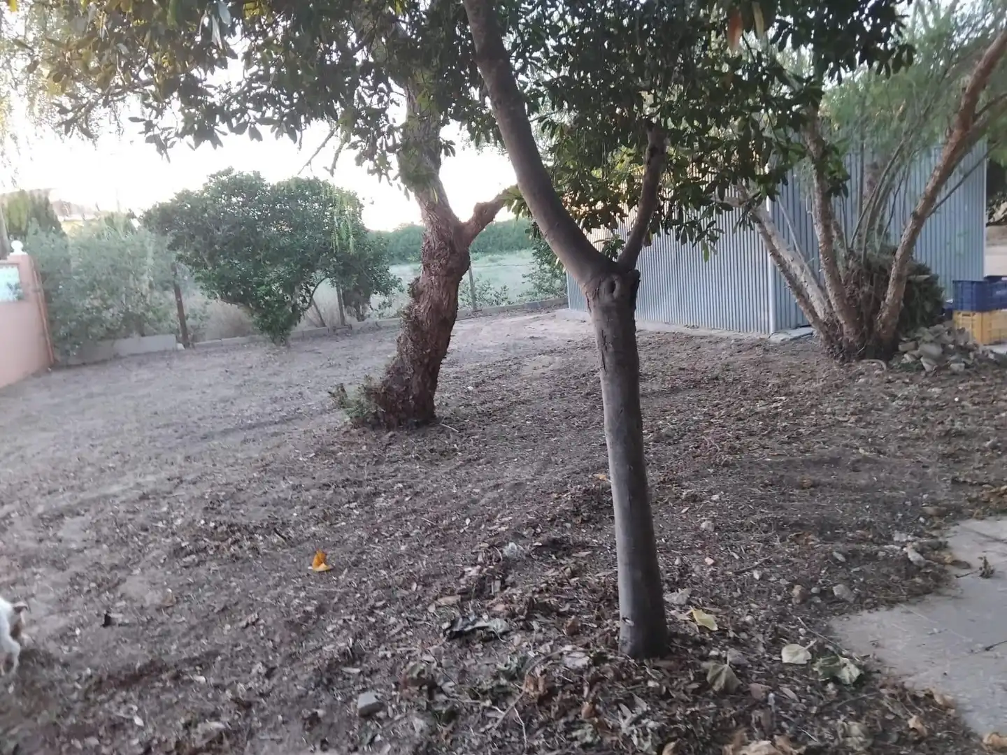 Detached house with garden for sale in El Marenyet, imagen 21