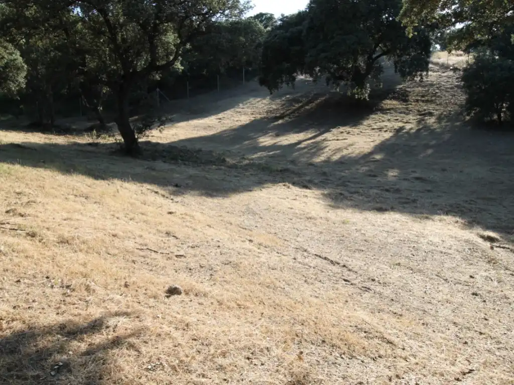 Terreny residencial en venda a Ciudalcampo, imagen 14