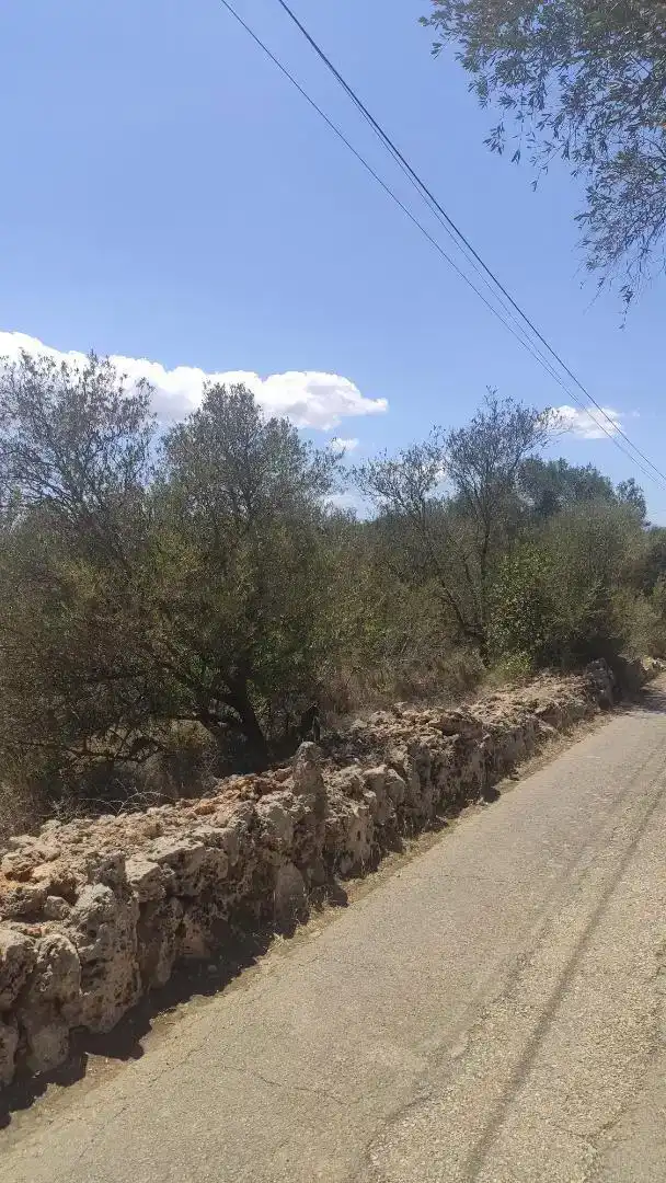 Terreny en venda en Marratxí