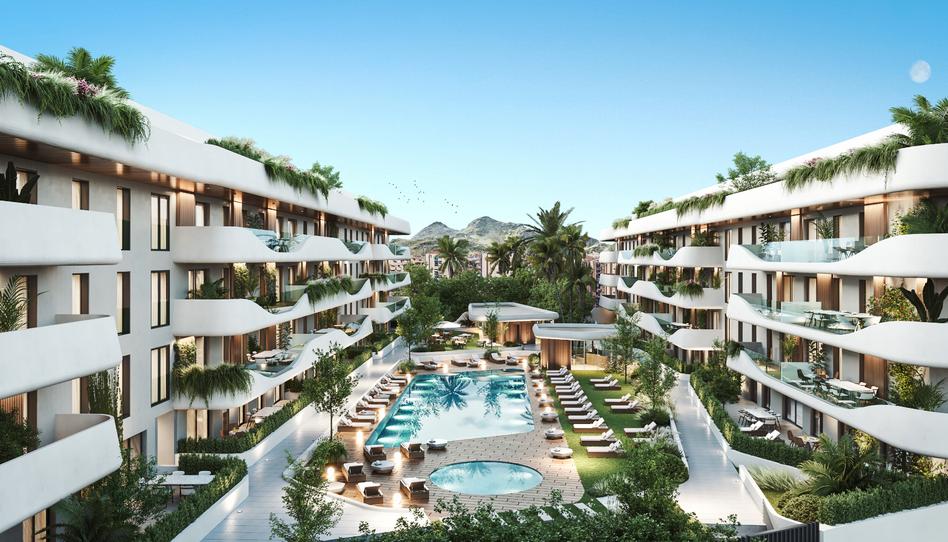 Photo 0 of Promotion SALVIA I