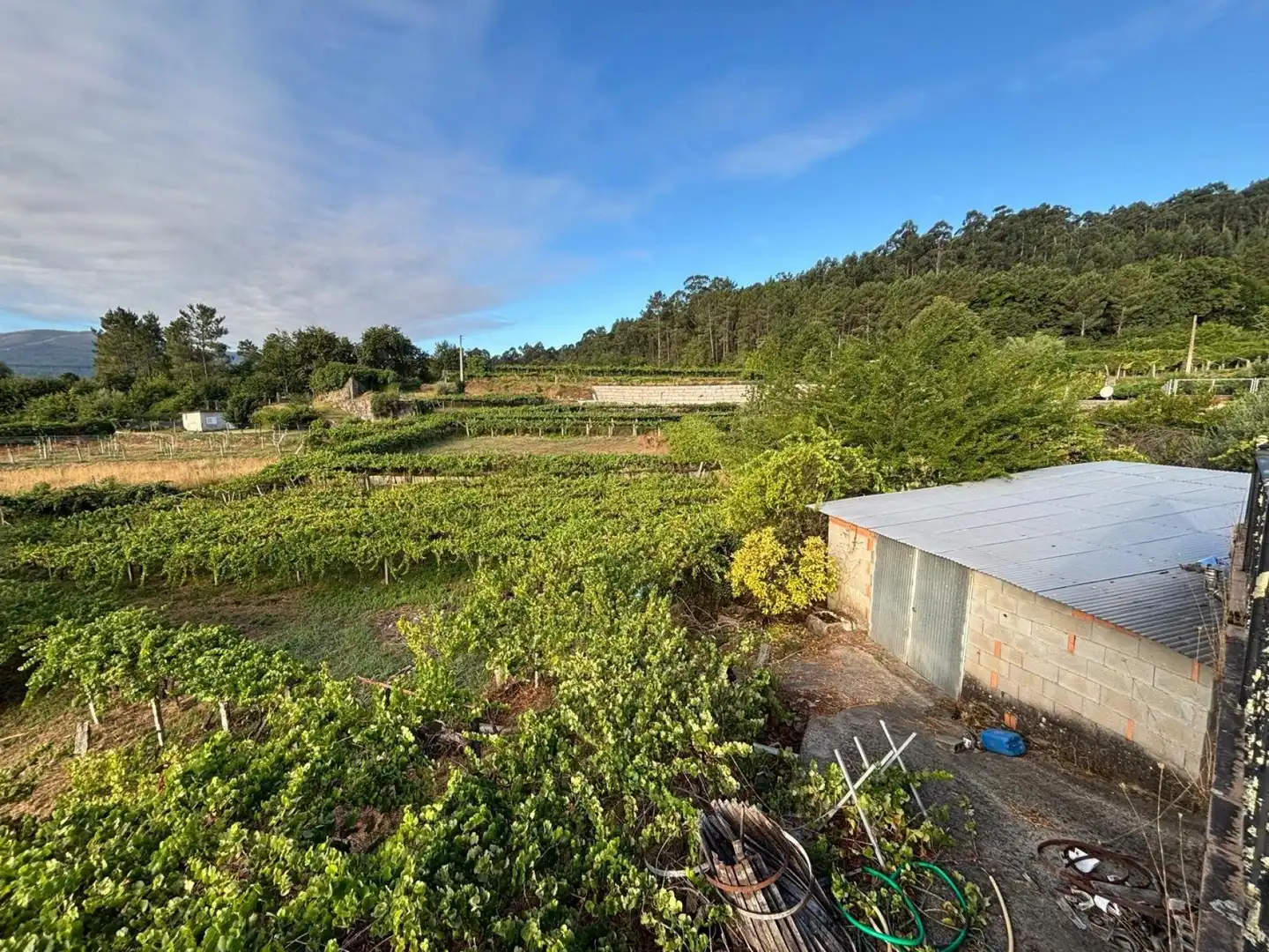 Finca rústica en venta en Arbo con Calefacción