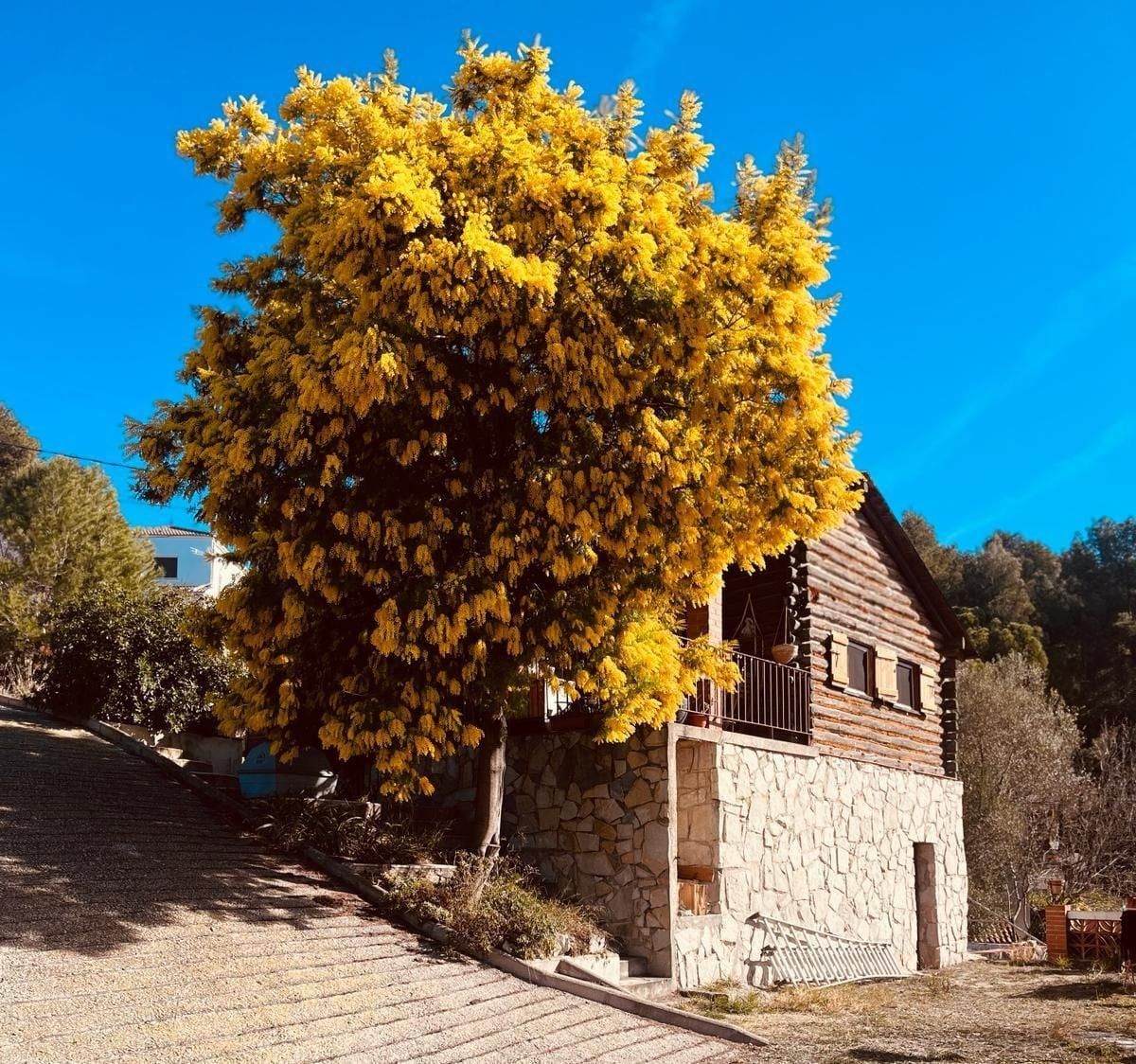 House or chalet for sale in Piera