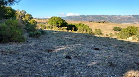 Photo 3 of Residential to rent in Tarifa ciudad, Cádiz