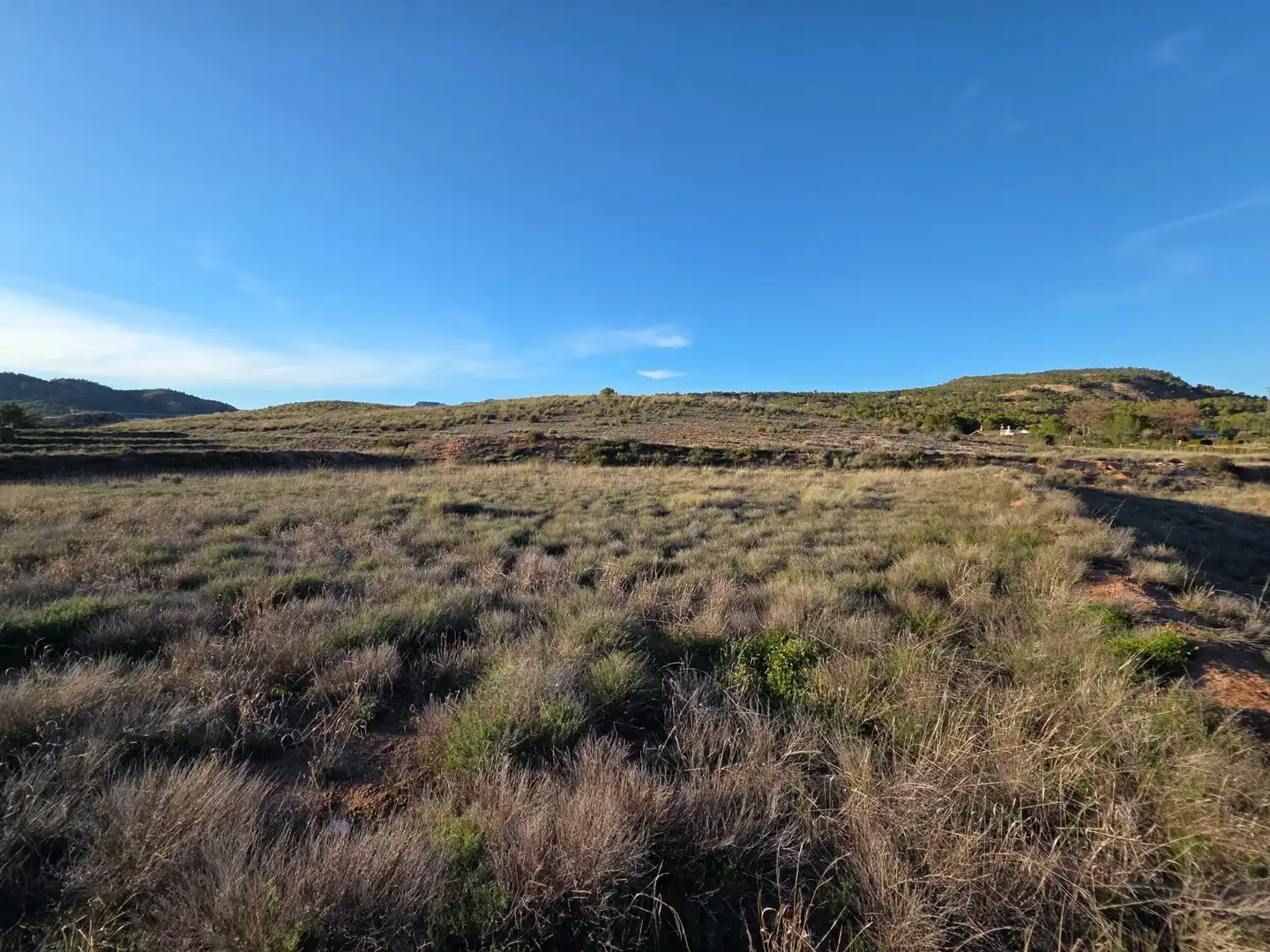 Residential land for sale in Yecla, imagen 5